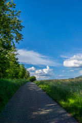 Fototapeta na wymiar Road through nature landscape of Germany