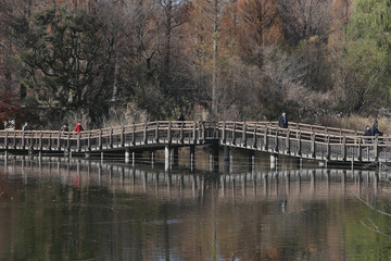 Fototapeta premium pont