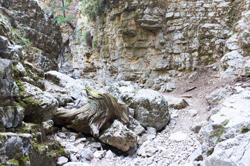 Imbros gorge in Crete