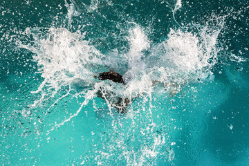 splashes of water made by a child jumping into pool or sea