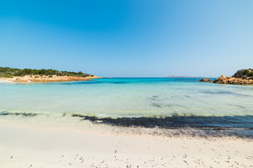Fototapeta na wymiar world famous Spiaggia del Principe