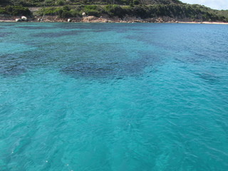 acqua