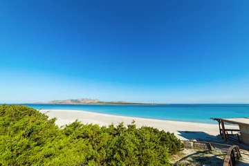 Acrylic prints La Pelosa Beach, Sardinia, Italy sunny day in La Pelosa beach