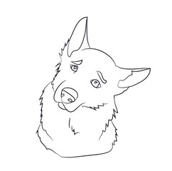 dog portrait, lines, vector