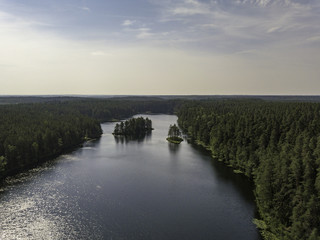 Aerial view near forest lake, Estonia, Viitna