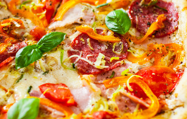 Pizza with Mozzarella cheese, Ham, Tomatoes, salami, pepper, pepperoni Spices and Fresh Basil. Italian pizza.  Close up.