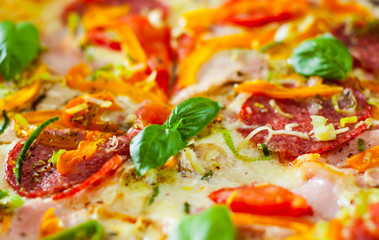 Pizza with Mozzarella cheese, Ham, Tomatoes, salami, pepper, pepperoni Spices and Fresh Basil. Italian pizza.  Close up.