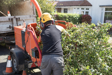 Industrial Wood Chipping Machine. - 215681068