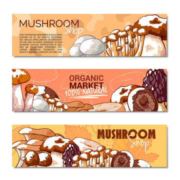 Mushroom banner copy space