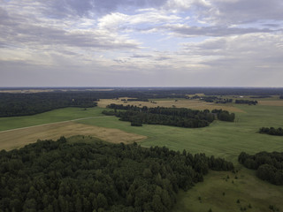 Aerial view beautiful forest near fields