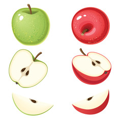 Vector illustration of organic green and red apple with slices