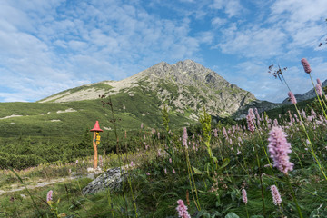 Hike towards the highest mountain in Slovakian Tatras Gerlach © pablitoos