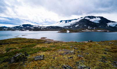 Glacier at a lake in Norway with grass in front