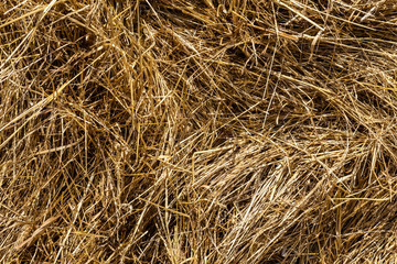 Heuballen im Detail
