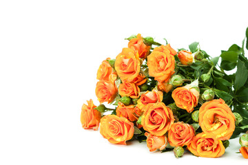 Bouquet of red roses on white.