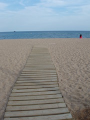 Obraz premium OLYMPUS DIGITAL CAMERA