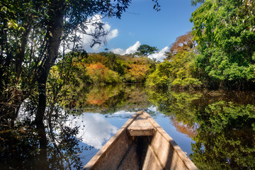 Navegando en un bote de madera a través del bosque inundado en Leticia, región de Amazonas,...