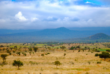 Rural landscape in Tanzania