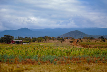 Landscape in rural Tanzania 