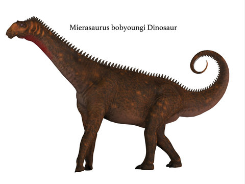 Mierasaurus Dinosaur Side Profile with Font - Mierasaurus was a herbivorous sauropod dinosaur that lived in Utah, USA during the Cretaceous Period.