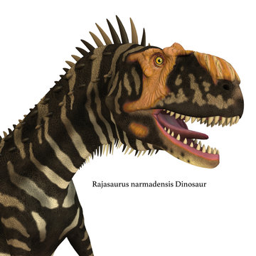 Rajasaurus Dinosaur Head with Font - Rajasaurus was a carnivorous theropod dinosaur that lived in India during the Cretaceous Period.
