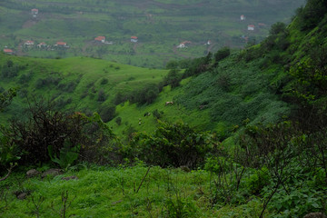 Obraz premium lush green landscape of mountain and hills in monsoon season, Purandar, Maharashtra, India