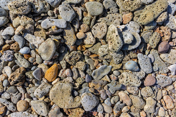 Coral and stones