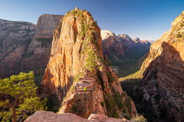 Famous Angel's Landing, Zion National Park, USA