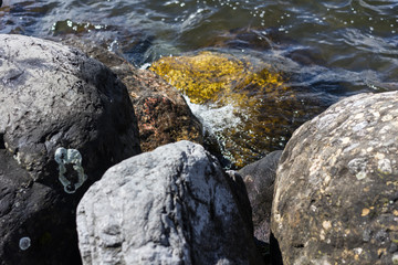stone shore close up with water