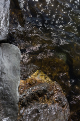 stone shore close up with water