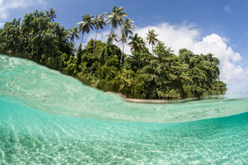 Tropical Island Surrounded by Clear, Warm Water