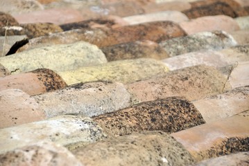 tiles of a roof