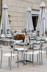 Black and white cat sits beside a glass of water on table of outside resturant deserted in winter with silver tales and white chairs and folded down umbrellas against a marble block wall