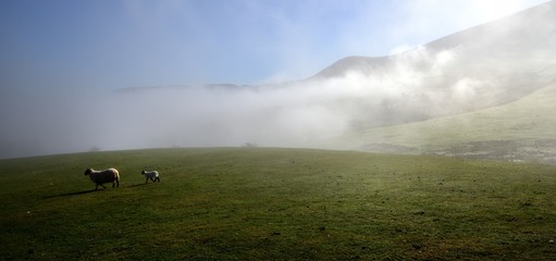 Cloud Inversion and the sheep © drewrawcliffe