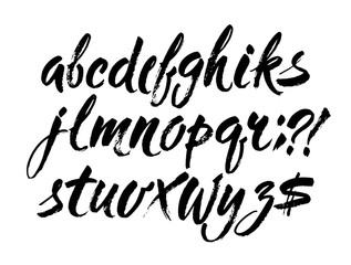 Vector Acrylic Brush Style Hand Drawn Alphabet Font. Calligraphy alphabet on a white background