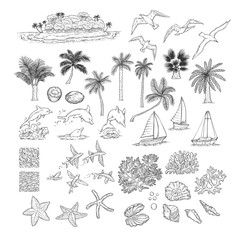 Summer vector set tropical plants and water animals. Island with palm among ocean, different dolphins seagulls fish and other underwater inhabitants. Black white sketch illustration collection.