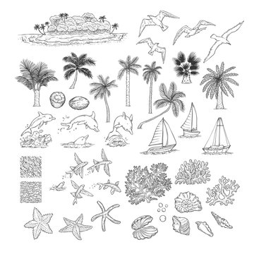 Summer vector set tropical plants and water animals. Island with palm among ocean, different dolphins seagulls fish and other underwater inhabitants. Black white sketch illustration collection. © Marina Tab