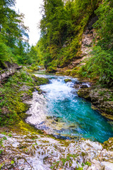Vintgar gorge, Slovenia. River near the Bled lake with wooden tourist paths, bridges above river and waterfalls. Hiking in the Triglav national park. Fresh nature, blue water in the forest. Wild trees