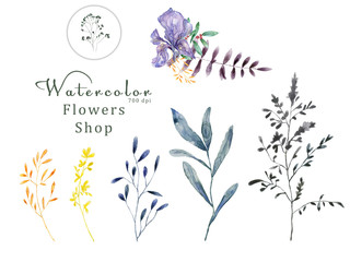 Watercolor floral on white background 700 dpi Similar illustration leaf green color