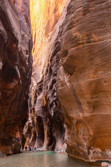 The Narrows, Zion National Park, Utah, USA