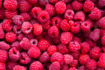 raspberry close-up