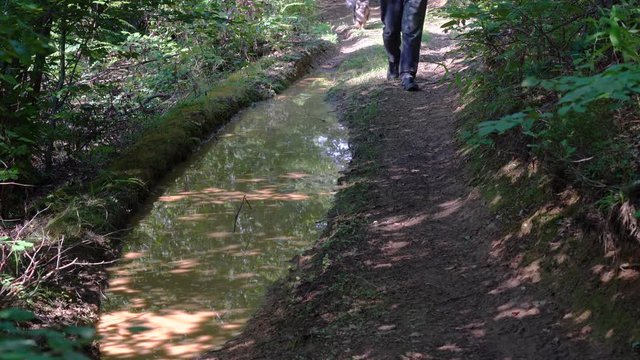 Man and dog goes into the puddle mirror - (4K)