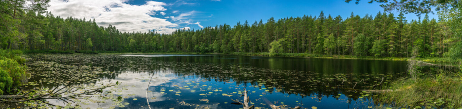 Panorama einer wunderschönen Seenlandschaft im schwedischen Smaland