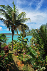 Fototapeta na wymiar Seychelles praslin