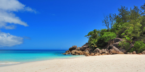 Fototapeta na wymiar Seychelles anse georgette praslin