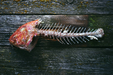 scraps of baked red fish mullet on wooden table top view