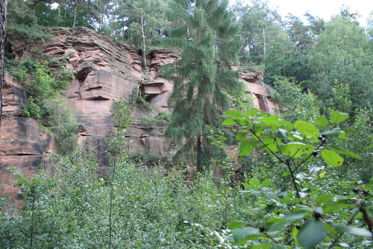 Góra Ciosowa, zamknięty kamieniołom, Świętokrzyskie