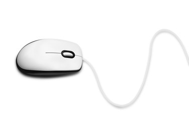 Computer Mouse