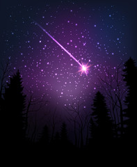 Star falling through dark night. Starry sky above dark forest.