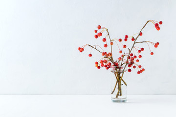 Branches with small red apples in a vase